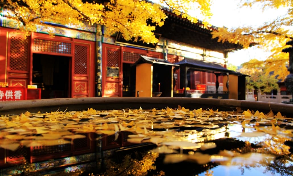 Beijing - Mutianyu Great Wall Scenic Area【Explore Fun】One-Day Trip(图5) Beijing - Mutianyu Great Wall Scenic Area【Explore Fun】One-Day Trip(图5)